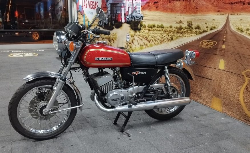 1976 Suzuki GT250 2Takt