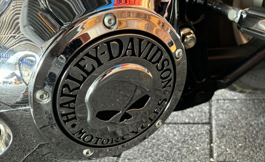 2004 Harley-Davidson Fatboy Willy-G Edition Injectie