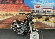 2004 Harley-Davidson Fatboy Willy-G Edition Injectie